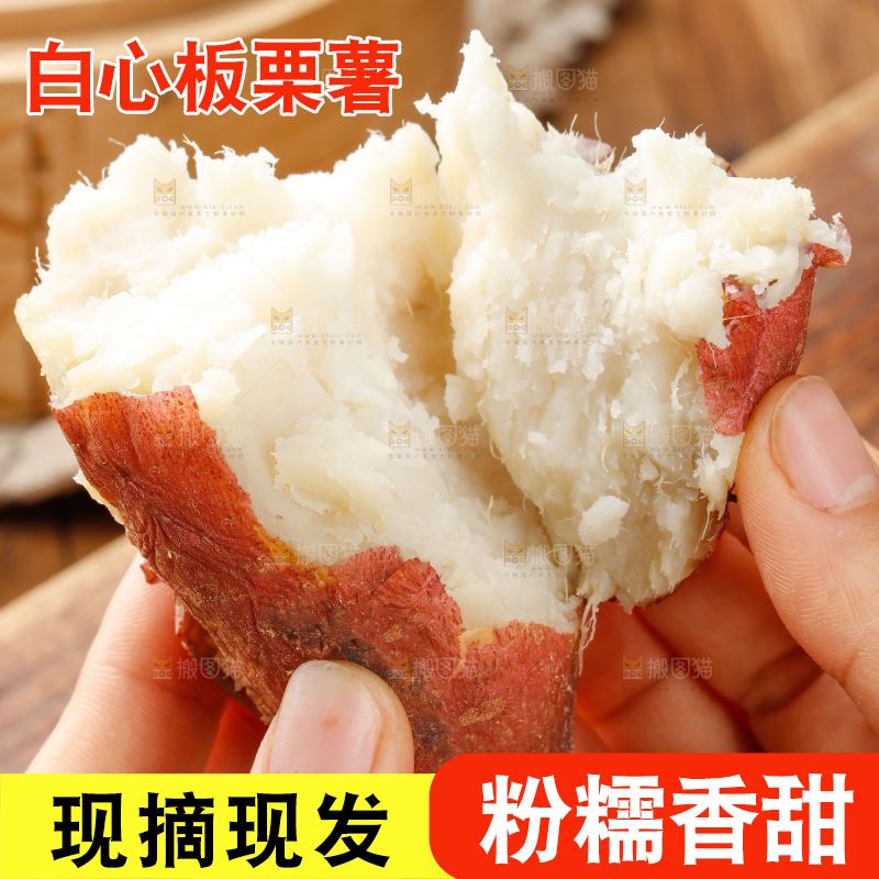 木底上的白心板栗薯