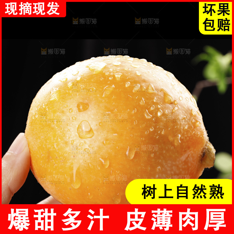 深底上的枇杷