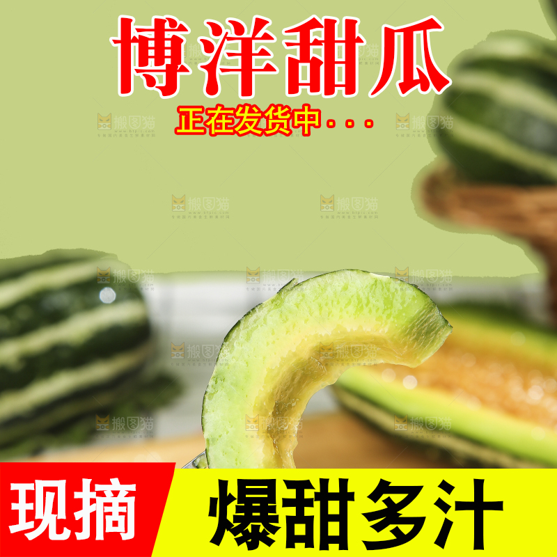 浅底上的博洋9号