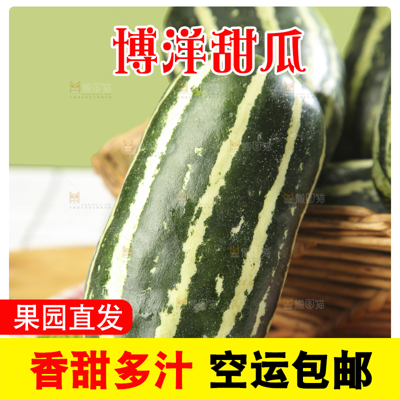 浅底上的博洋9号