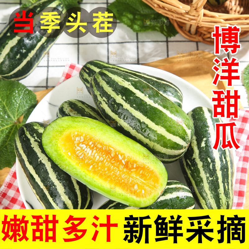 浅底上的博洋9号