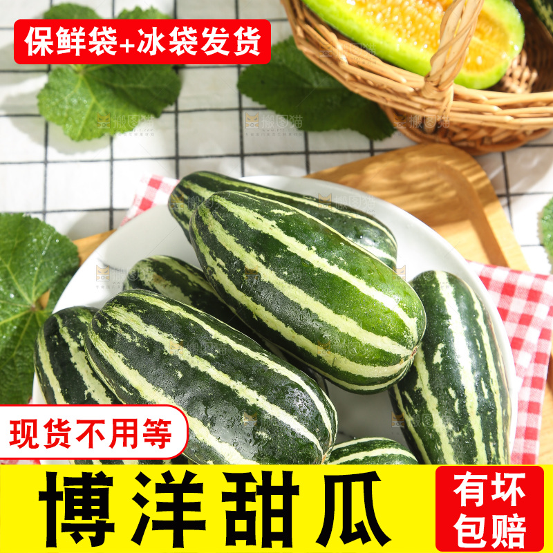浅底上的博洋9号
