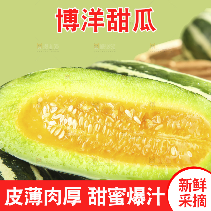 浅底上的博洋9号