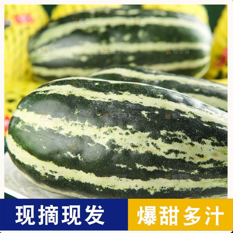 木底上的博洋9号