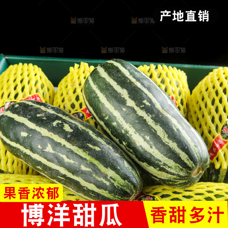 木底上的博洋9号