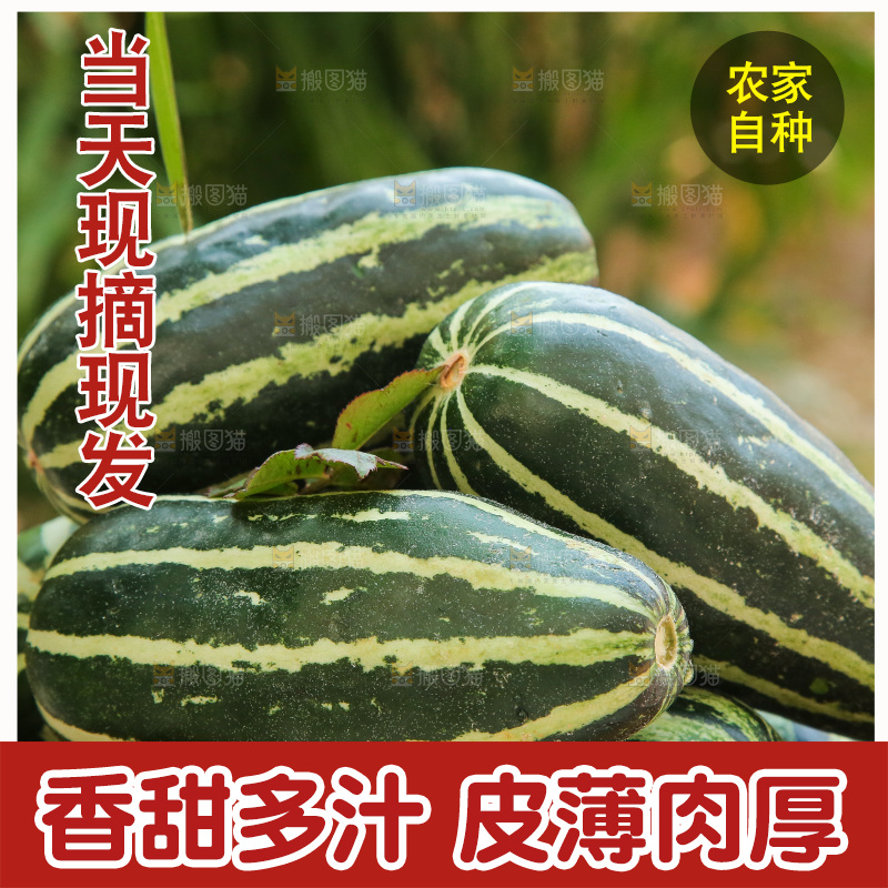 手里拿着博洋9号