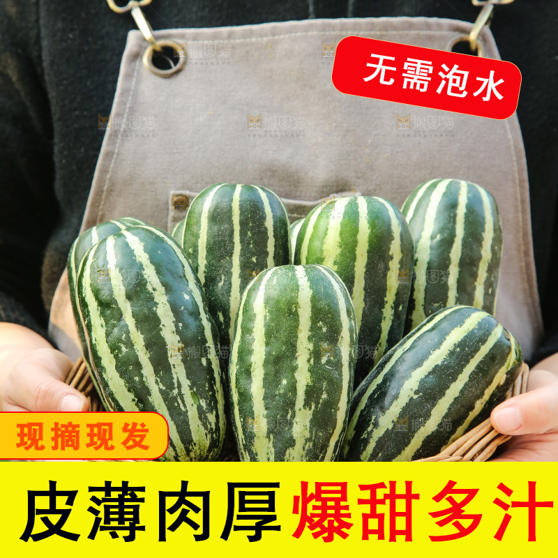 手里拿着博洋9号