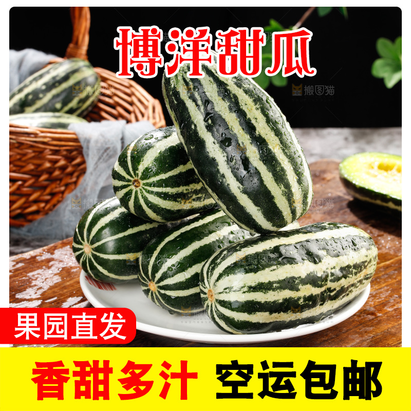 木底上的博洋9号