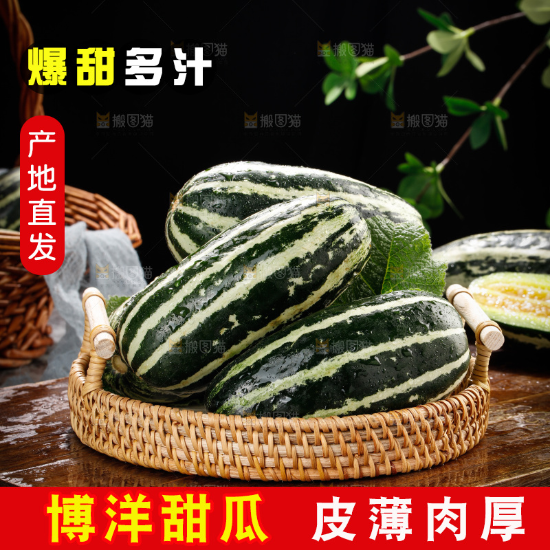 木底上的博洋9号