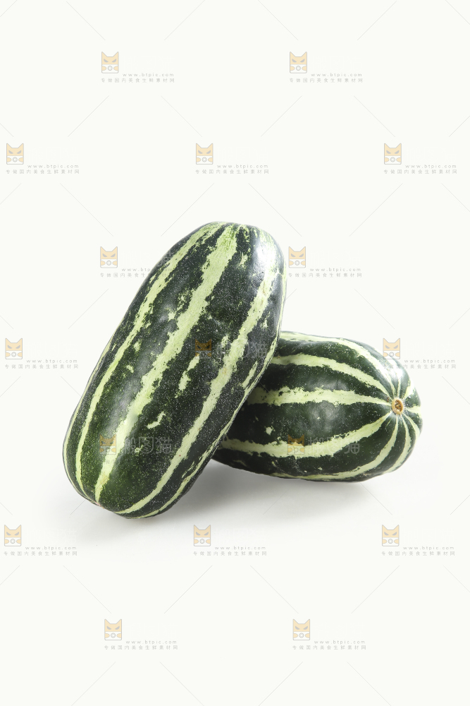 白底上的博洋9号