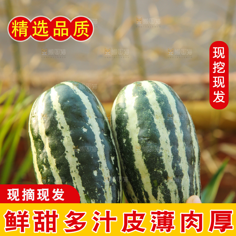手里拿着博洋9号