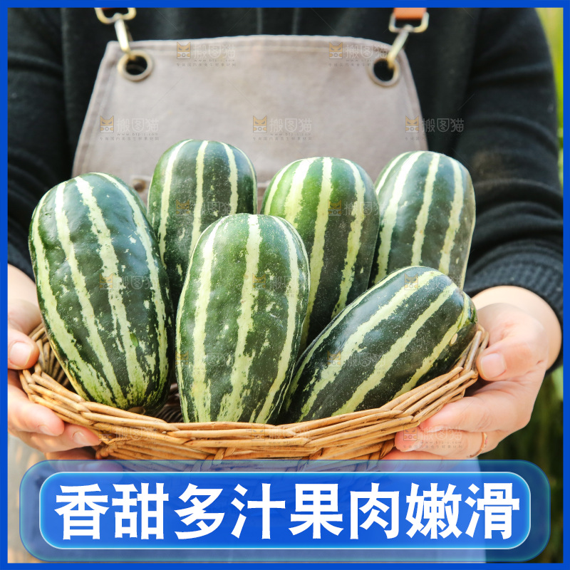 手里拿着博洋9号