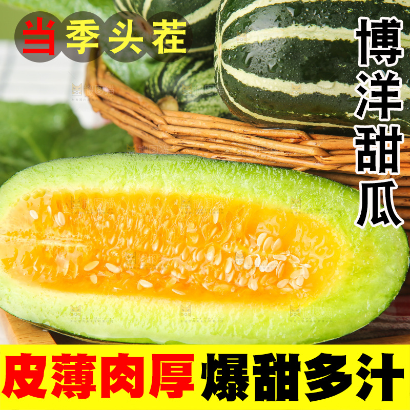 浅底上的博洋9号