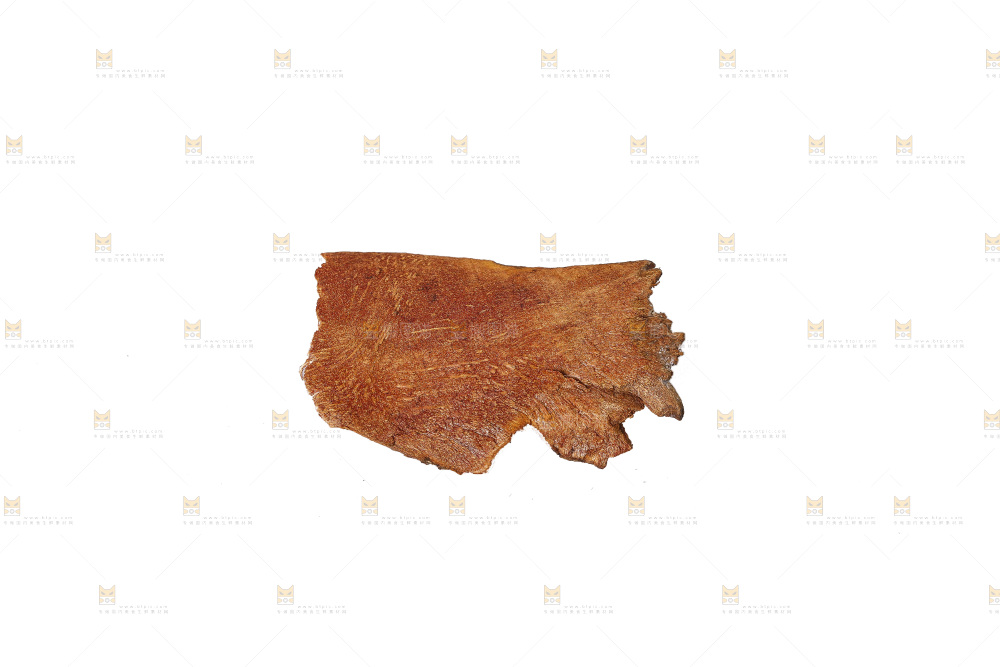 白底上的土茯苓