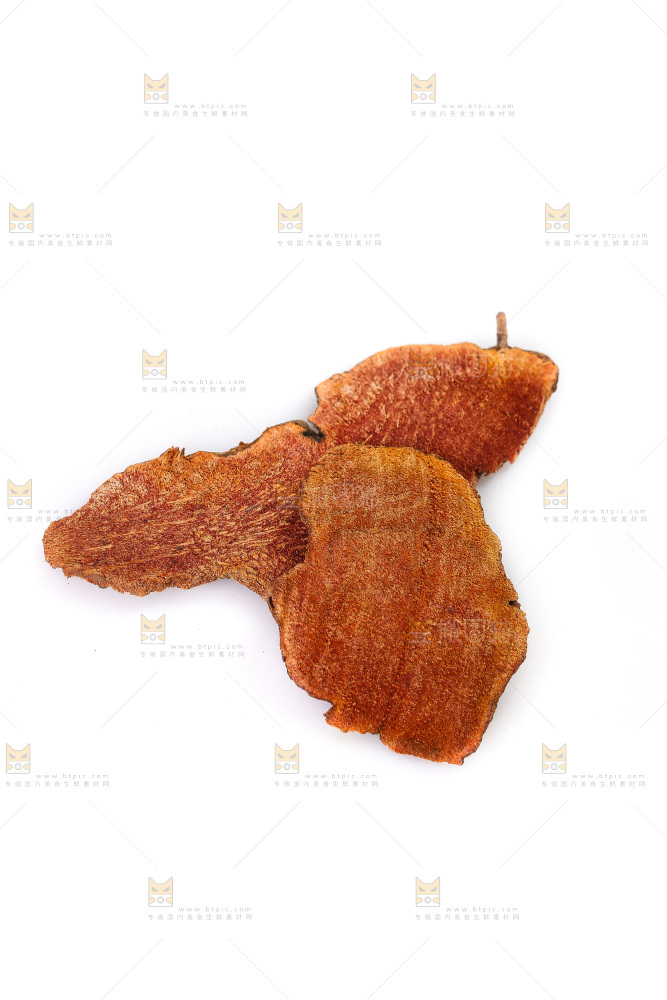 白底上的土茯苓