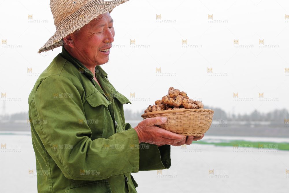 手里拿着沙姜