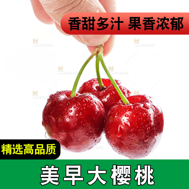 白底上的樱桃