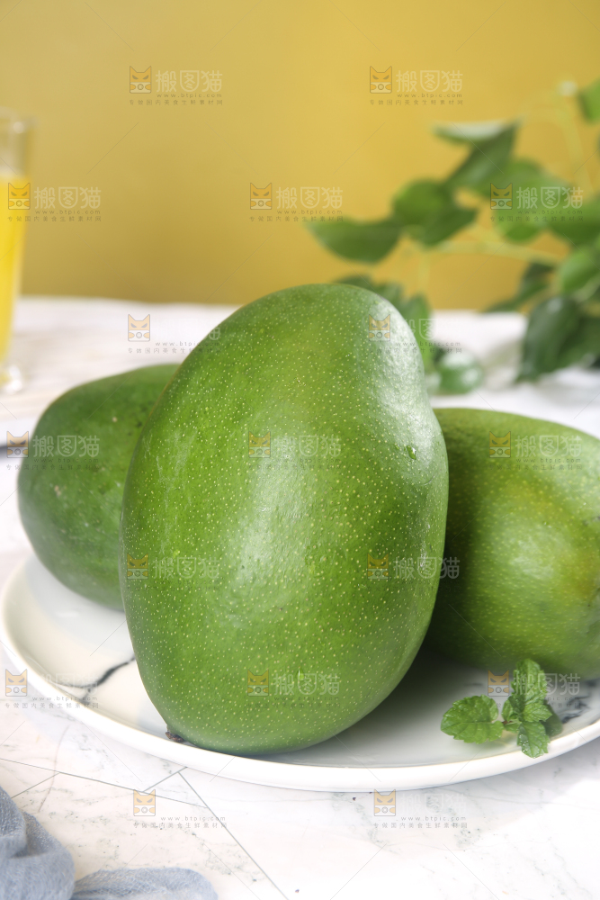 浅底上的凯特芒