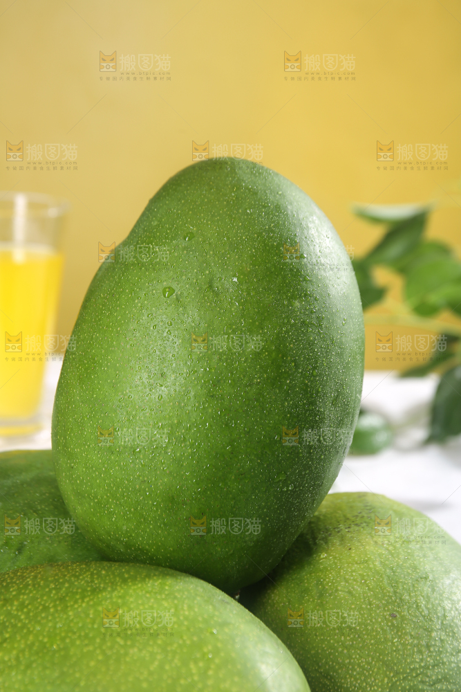 浅底上的凯特芒