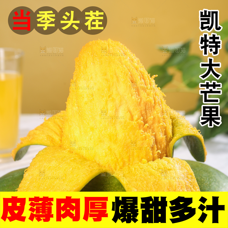 浅底上的凯特芒