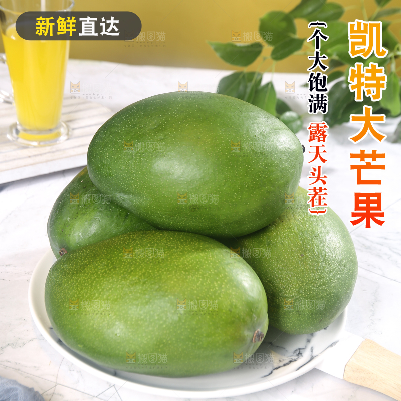 浅底上的凯特芒