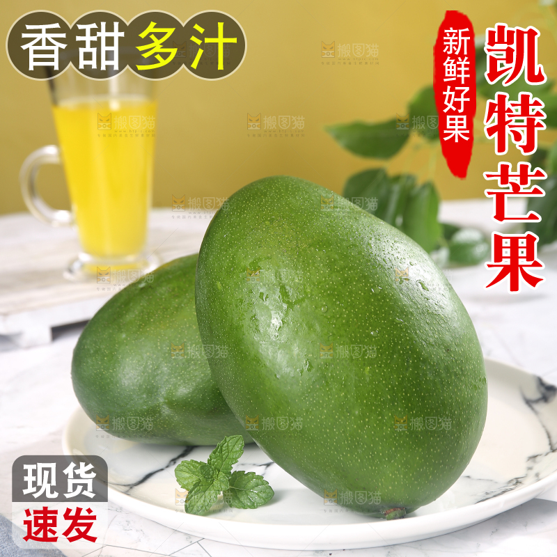 浅底上的凯特芒