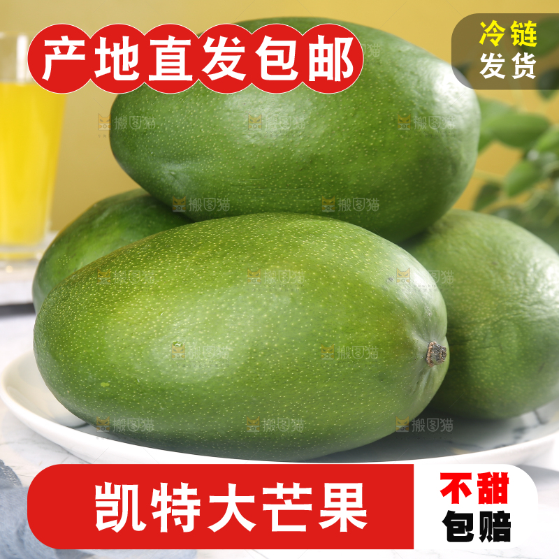 浅底上的凯特芒
