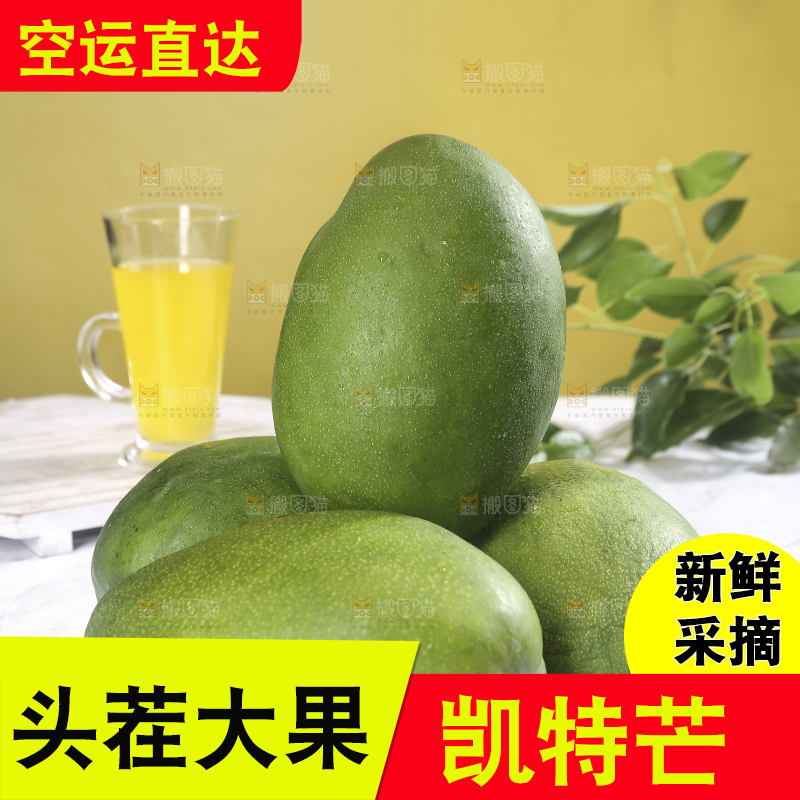 浅底上的凯特芒