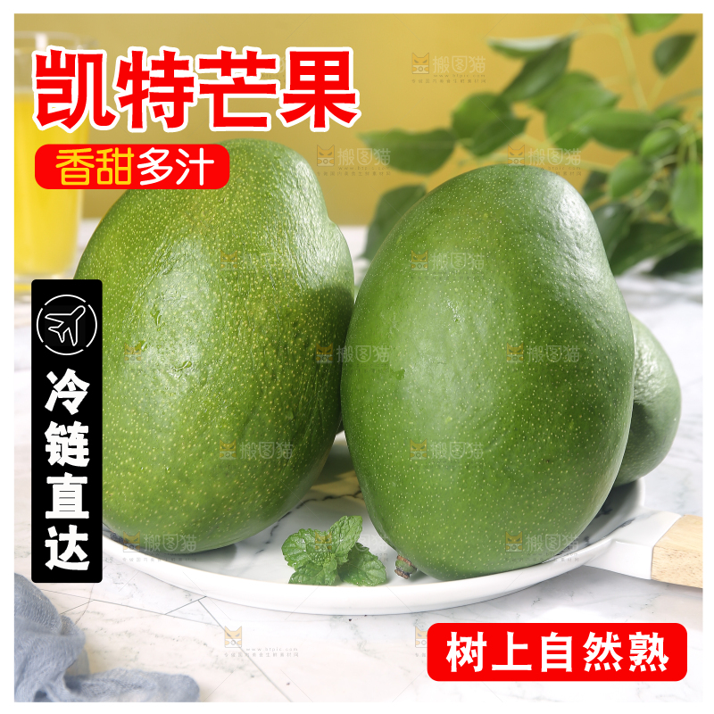 浅底上的凯特芒