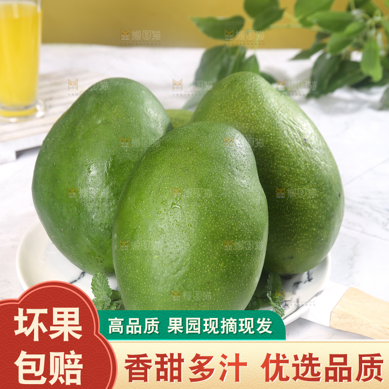 凯特芒主图
