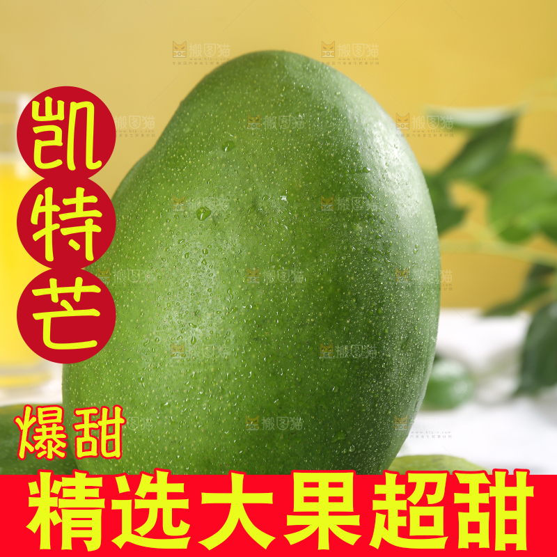 浅底上的凯特芒