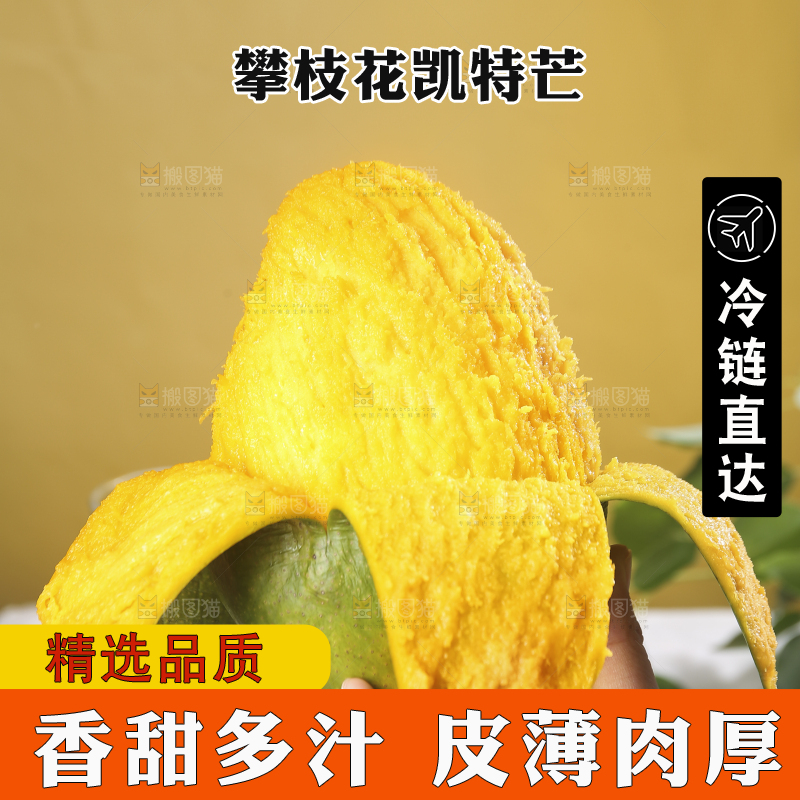 凯特芒主图