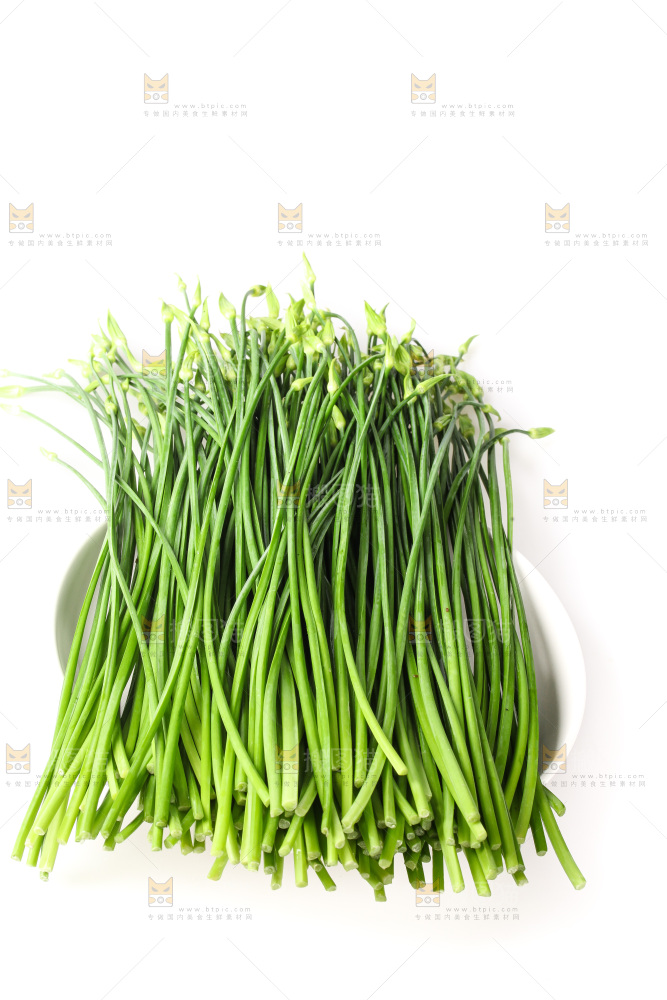 白底上的韭菜苔