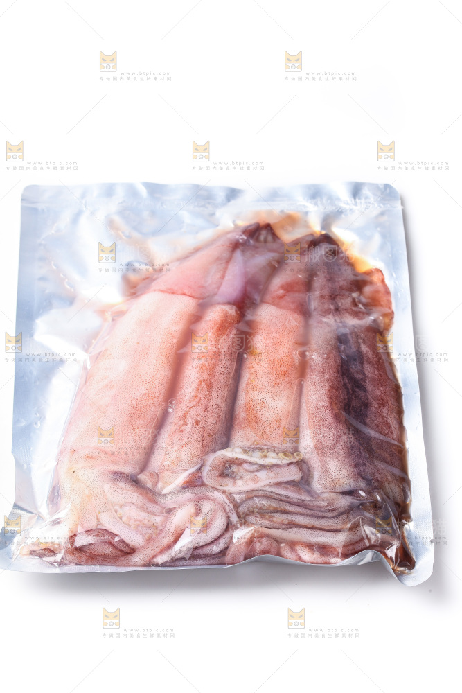 白底上的新鲜鱿鱼