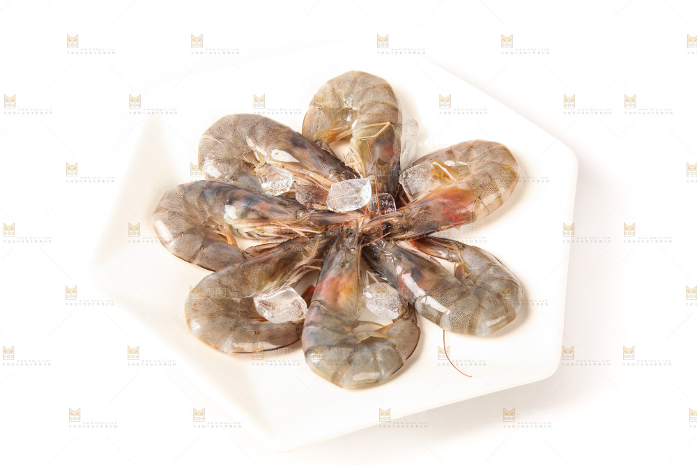 白底上的大虾