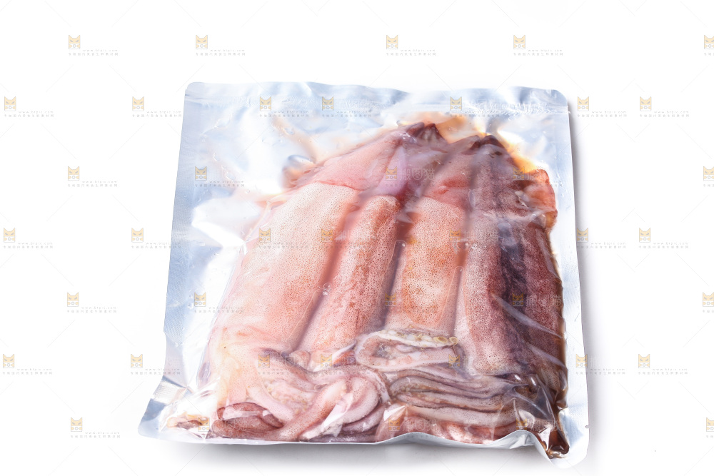 白底上的新鲜鱿鱼