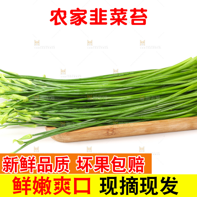 白底上的韭菜苔