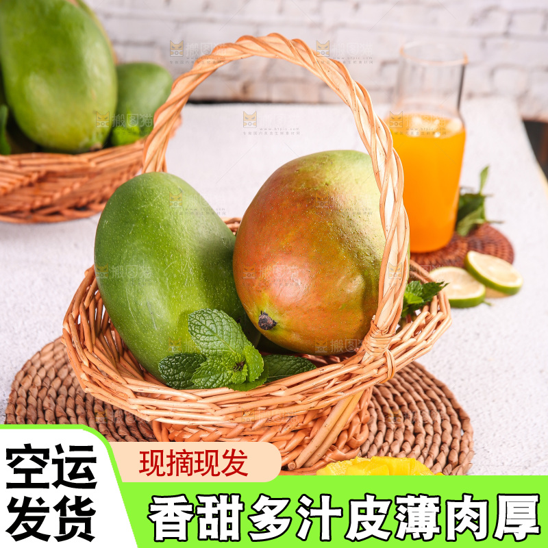 浅底上的凯特芒