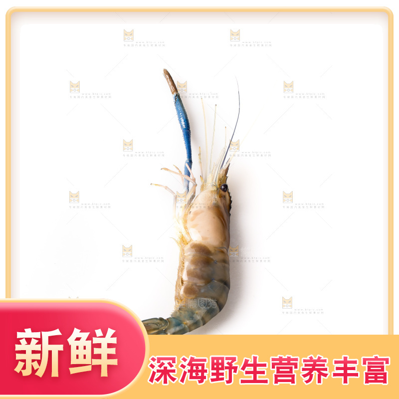 白底上的罗氏虾