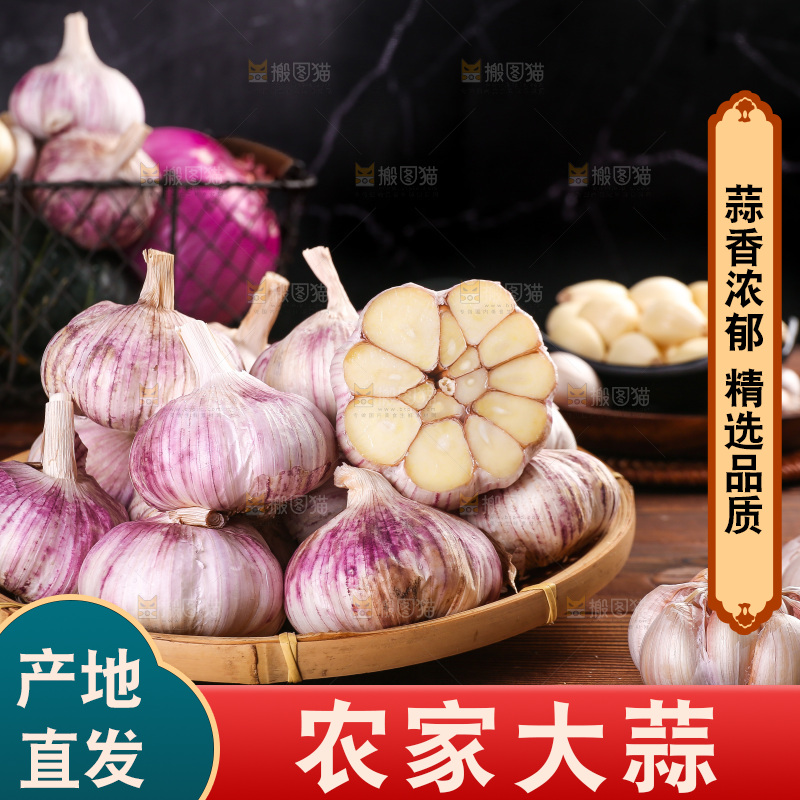 木底上的紫皮大蒜