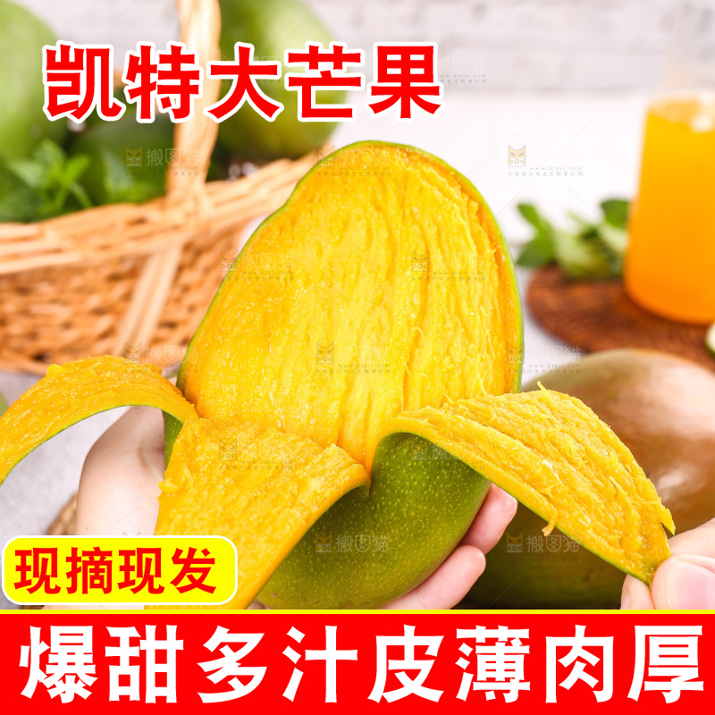浅底上的凯特芒