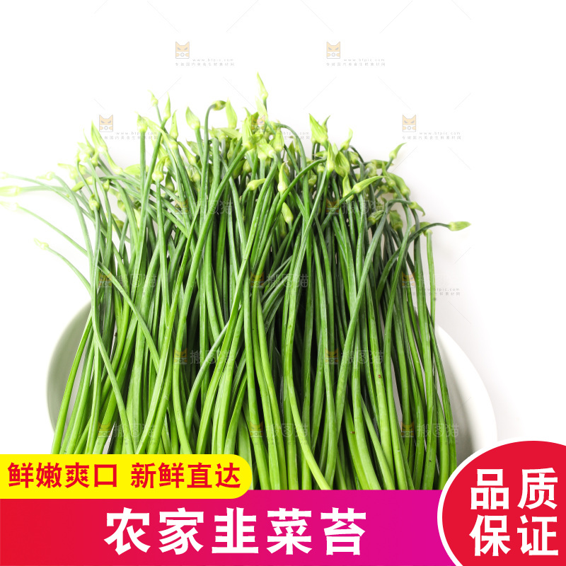 白底上的韭菜苔
