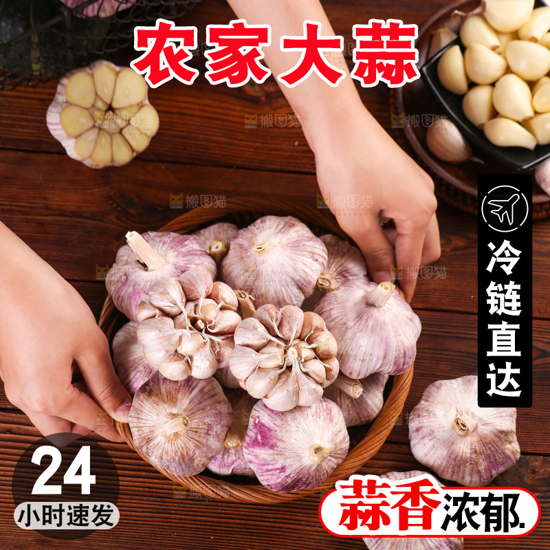 木底上的紫皮大蒜