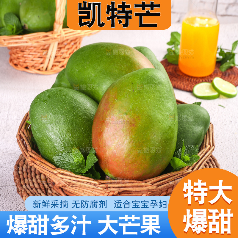 浅底上的凯特芒