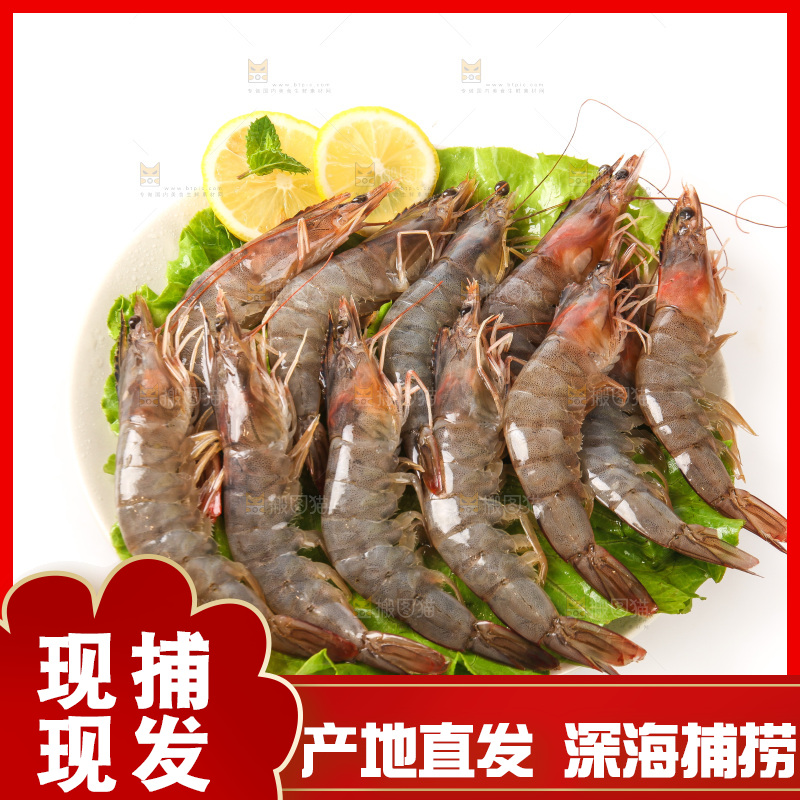 白底上的大虾