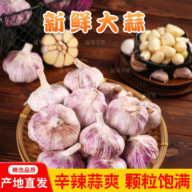 木底上的紫皮大蒜