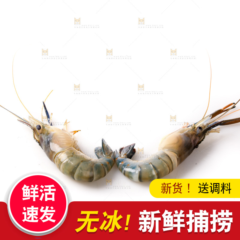 白底上的罗氏虾