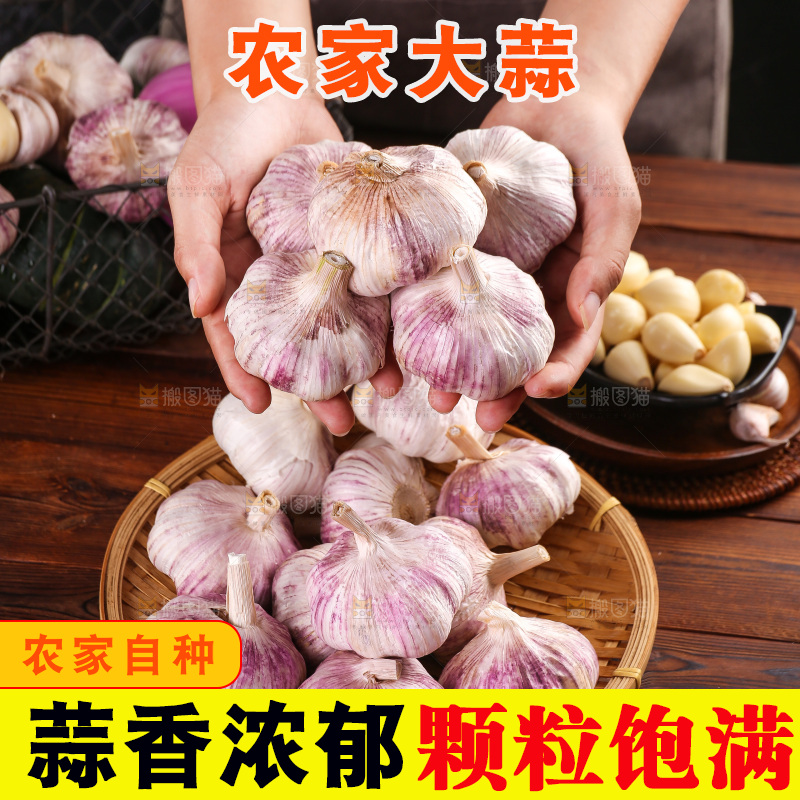 木底上的紫皮大蒜