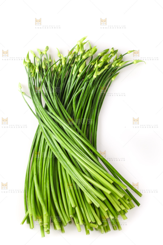 白底上的韭菜苔