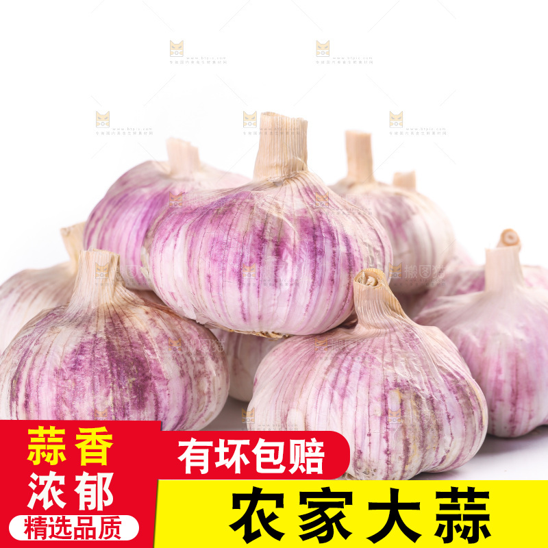 白底上的紫皮大蒜